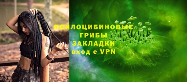 крисы Саяногорск