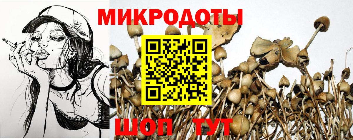 Балахна  Галлюциногенные грибы мицелий  Вход с VPN 