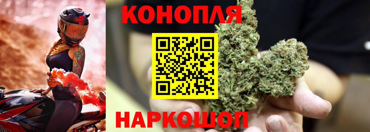 Каннабис MAZAR Балахна