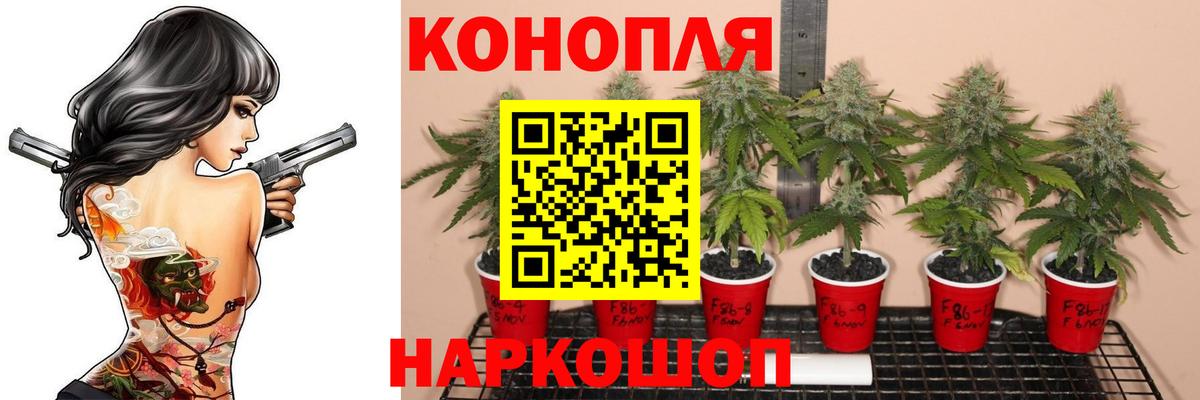 Конопля SATIVA & INDICA  Вход с VPN  Балахна  Бошки марихуана Ganja  Шишки марихуана конопля 